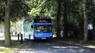 New Forest Tour - Explore the coast on the Blue Route