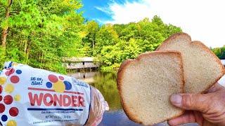 Easy Way To Catch Big Fish From The Bank With Bread!