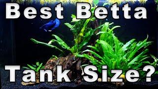 Best Betta Fish Tank Size? How to Figure it Out!