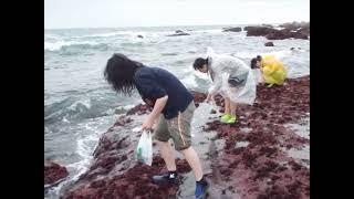 海生所林綉美老師實驗室 Seaweed Systematics Lab2022