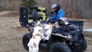 Bringing Your Dog On Your ATV