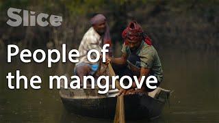 Bangladesh: Living in the Sundarbans | SLICE