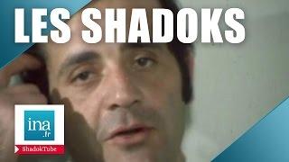 Peut-on remplacer les Shadoks ? | Archive INA