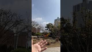 [루카월드] 앵무새가 부르면 온다고??