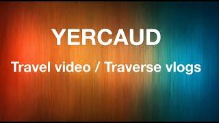 Yercaud | Tree house stay|Traverse vlogs #tippearyestate #yercaudTourism  #Tamilnadutourism