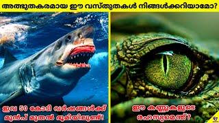 ഈ വസ്തുതകൾ നിങ്ങൾക്കറിയുമോ? | Amazing And Interesting Animals Facts Malayalam | 47 ARENA