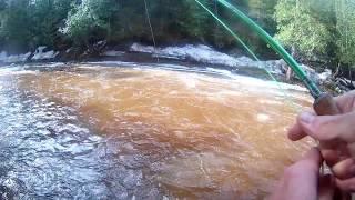 Steelhead Fishing on the North Shore of Lake Superior