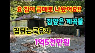 (횡성전원주택)요집이 나왔어요~ 집뒤는 국유지산 집앞은 물~ 1억5천만원 대지662㎡(200평) #횡성 #전원주택 #횡성부동산