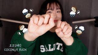 ASMRㅣ️️  가장 요청 많았던 코코넛레인 COCONUT RAIN ASMR ️️