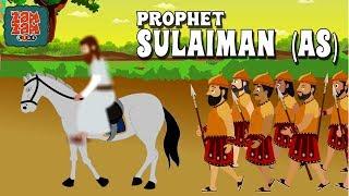 Quran Stories In English | Prophet Sulaiman (AS) | English Prophet Stories | Quran Cartoon