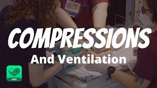 Compressions and Ventilations for Neonatal Resuscitation | NRP Mastery for Nurses