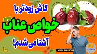 خواص عناب: همه خواص عناب را در 2 دقیقه ببین