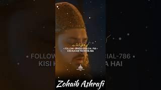 Hamara Koi Nhi Hai Huzur Dekhen Na  || Zohaib Ashrafi || Naat Status #shorts