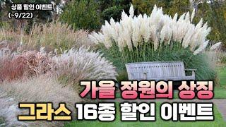 [댓글이벤트]가을 정원의 상징 그라스 16종 할인 이벤트 진행합니다!