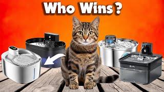 Best Cat Water Drinker | Who Will Win This Race?