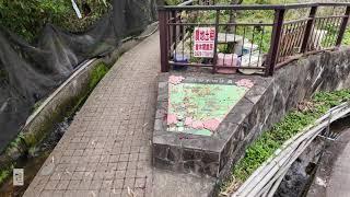 Taipei Walk  Dongsheng Trail 東昇步道 20240221 POCKET 3