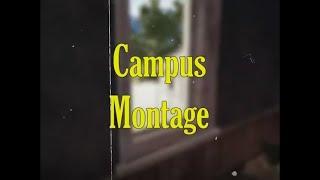 [PUBG] Campus Montage #5 Rank&Scrim ver - 【 캠퍼스 】