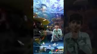 Hamza Tahir video