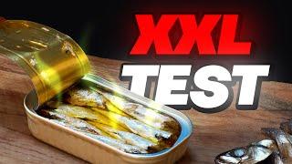 XXL Dosenfisch Test  Direkt aus der Dose! 