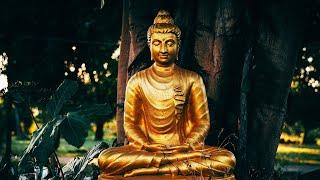 MEDICINE BUDDHA CHANTS @285Hz ‍️ Best Healing Mantra Meditation  (3 Hours)