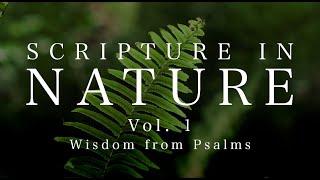 Scripture In Nature | Vol. 1 | Wisdom from Psalms | 4K Video