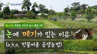 [농사부]  #주형로 사부 (3) 논에 #메기 가 있는 이유  (a.k.a. 민물어종 공생농법)