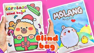 Paper diy  Capybara and Molang Blind bag/Blind bag paper/ASMR