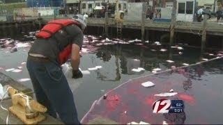 New Bedford Oil Spill