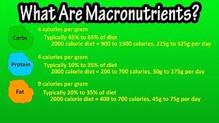 What Are Macronutrients - Functions Of Macronutrients - Macronutrient Recommendations Explained