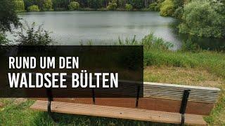 Rund um den Waldsee Bülten