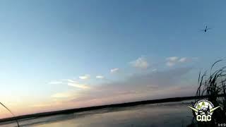 Осенняя охота на уток 2022. Открытие как оно есть. #охотанауток