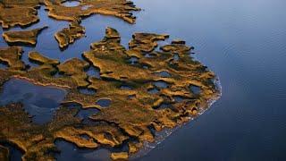 A Look At Cape Cod's Incredible Salt Marshes | America Over The Edge