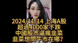 2024/11/14 上海A股，超過4000家下跌，中國股市逼瘋韭菜，韭菜想問牛市在哪？