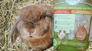 Get the Most Out of Your Rabbit's HAY