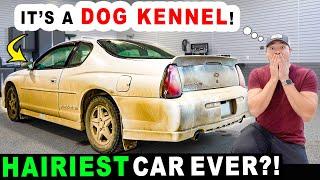 Cleaning The Most INSANELY Hairy Car!