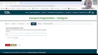 Horse Sport Ireland webinar to demonstrate new e-passport system 'Horse Source'