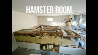 Hamster Room Tour