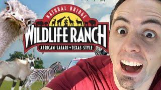 AFRICAN SAFARI IN TEXAS | Natural Bridge Wildlife Ranch Review