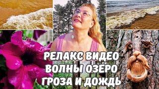 Релакс видео.Шум волн.Чудское озеро в Эстонии.Природа.Гроза и дождь в лесу видео