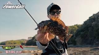 자바리, 쏨뱅이 등 락피쉬 공략에 최적! 버클리 펄스쉐드6cm. Berkley Powerbait Pulse Shad 6cm