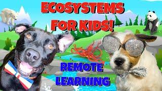 Ecosystems For Kids!  Remote Learning With Diggy Dog!