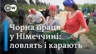 Нелегальні заробітчани в Німеччині: які штрафи і до чого тут "безвіз"? | DW Ukrainian