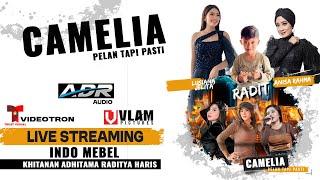  LIVE CAMELIA MUSIC KHITAN ADHITAMA RADITYA HARIS (SEKURO MLONGGO) - VLAM PICTURES - ADR AUDIO