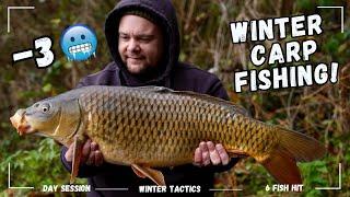 It was FREEZING! Winter Carp Fishing!