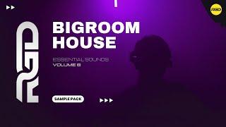 Bigroom Sample Pack - Essentials V8 (Festival Samples & Vocals)