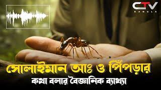 সুলাইমান আ: এবং পিঁপড়ার ইতিহাস | সুলাইমান আ: এবং পিঁপড়ার কথপোকথন |পবিত্র কুরআনের বানী | CTV BANGLA