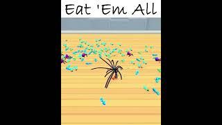 Insect Evolution Run Venom in Kitchen