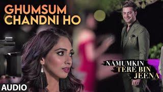 Ghumsum Chandni Ho Full (Audio) Song | Namumkin Tere Bin Jeena | Jubin Nautiyal |Anmol Chopra,Rehana