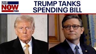 Trump tanks House GOP spending deal ahead of government shutdown | LiveNOW from FOX