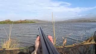 Storm Flight on Wigeon - Kayak was needed - Wildfowling